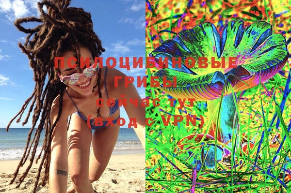 PSILOCYBIN Мурманск