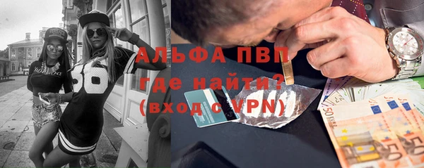 мяу мяу мука Кострома