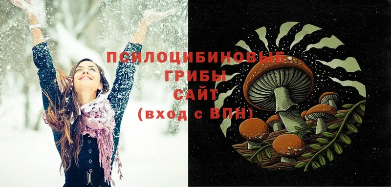 Псилоцибиновые грибы Psilocybine cubensis  блэк спрут ТОР  Хабаровск  купить  сайты 